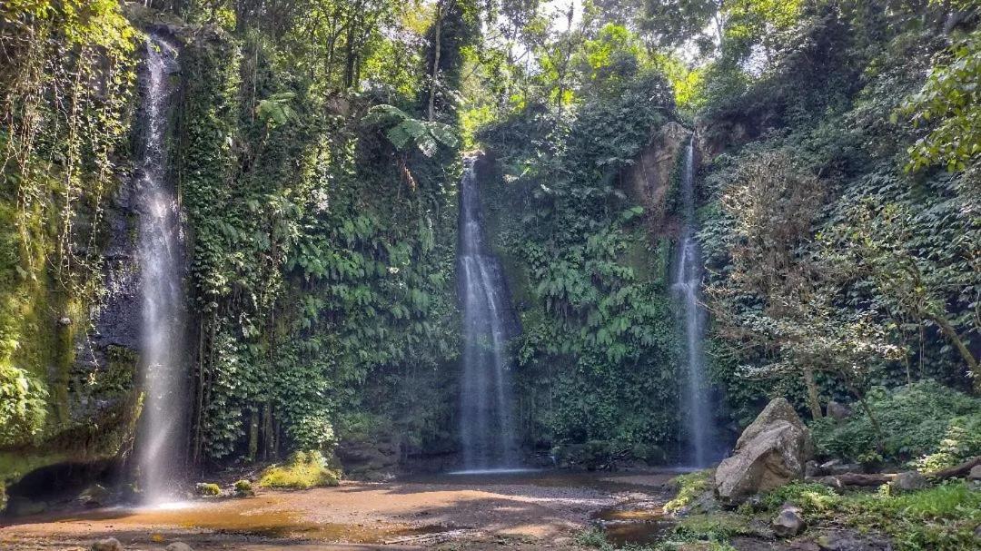 Tetebatu Mountain View Homestay Esterno foto