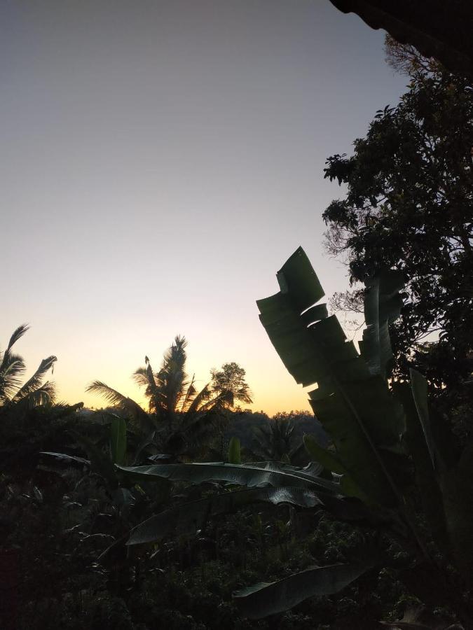 Tetebatu Mountain View Homestay Esterno foto