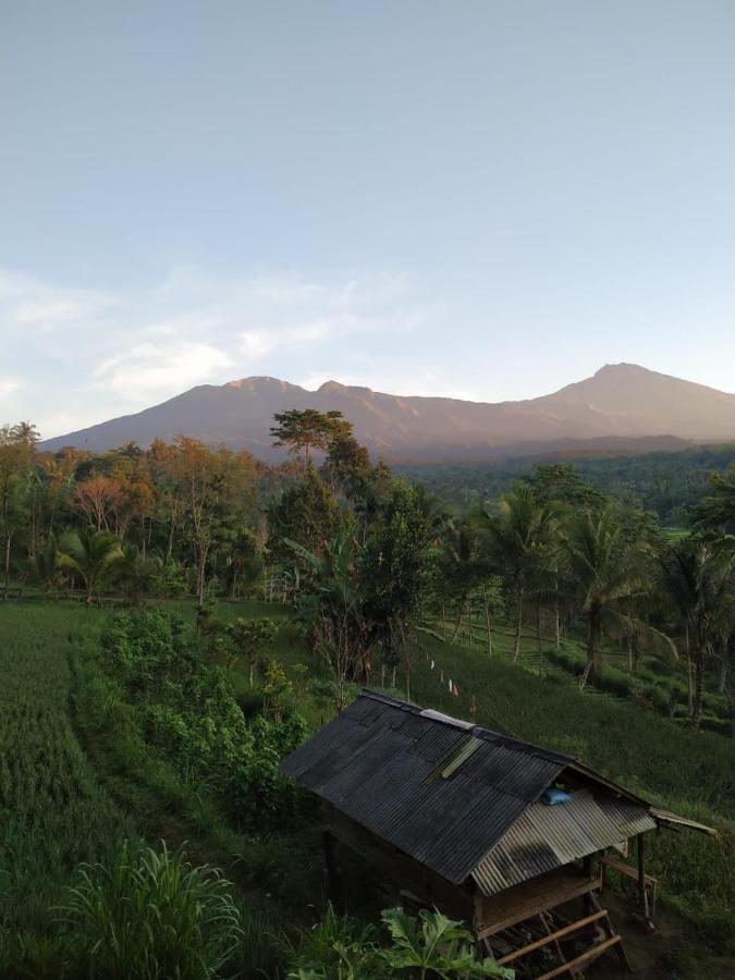 Tetebatu Mountain View Homestay Esterno foto