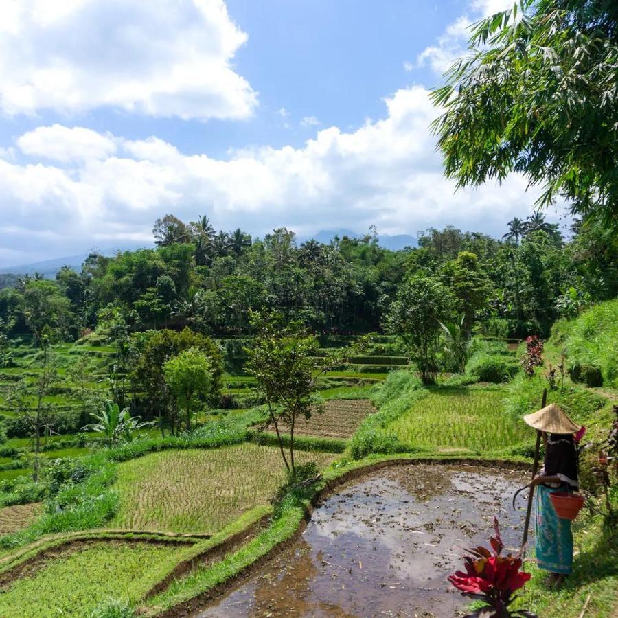 Tetebatu Mountain View Homestay Esterno foto
