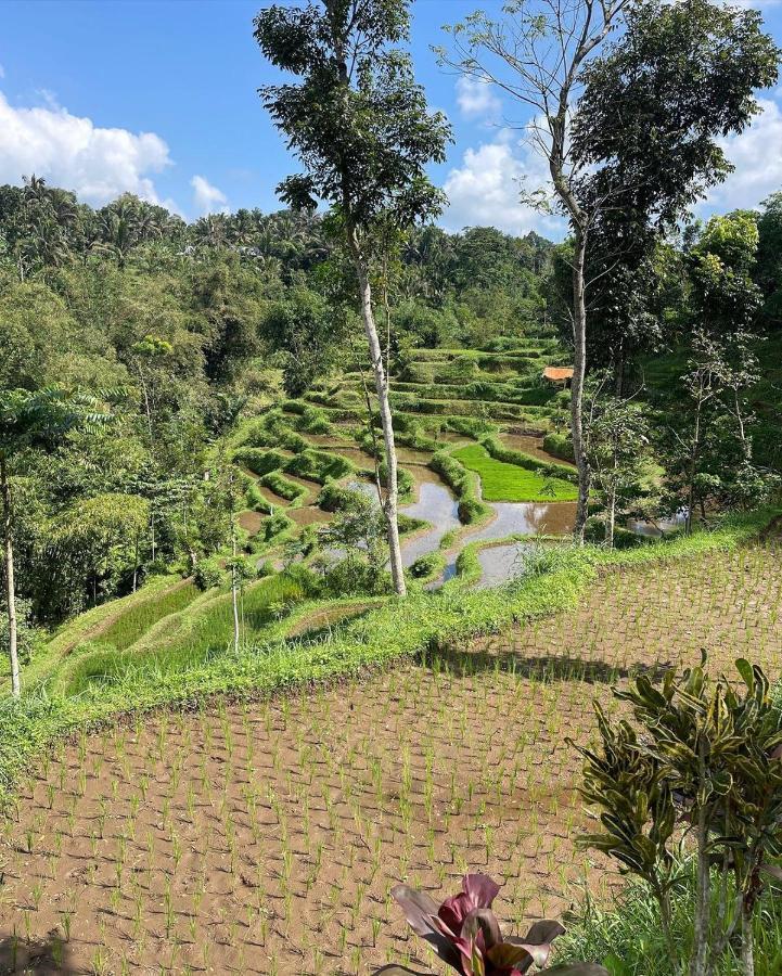 Tetebatu Mountain View Homestay Esterno foto