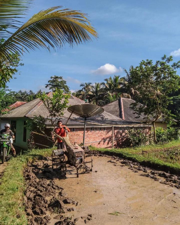 Tetebatu Mountain View Homestay Esterno foto