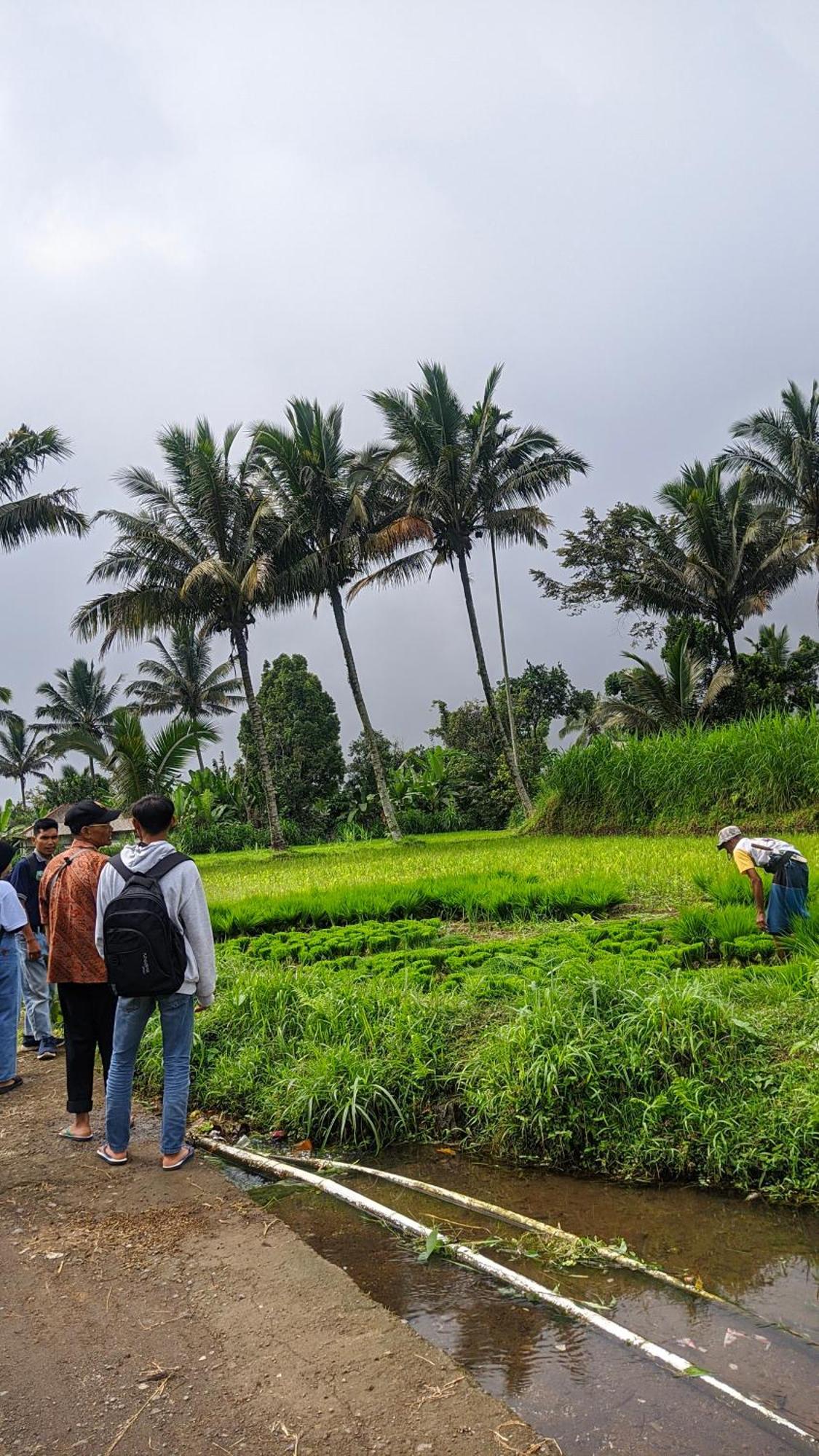 Tetebatu Mountain View Homestay Esterno foto